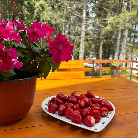 Holiday Home ,,Lazar" Žabljak Dış mekan fotoğraf