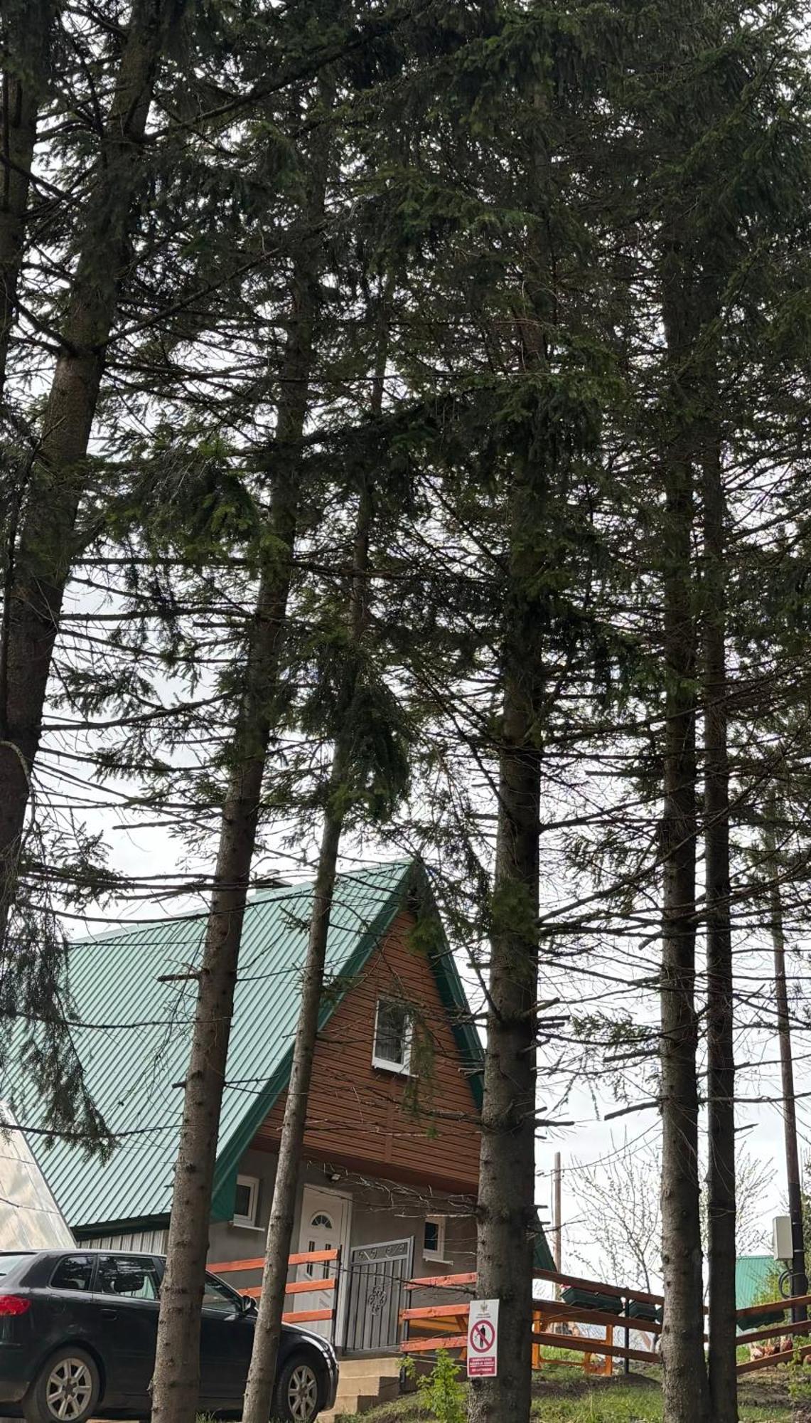 Holiday Home ,,Lazar" Žabljak Dış mekan fotoğraf