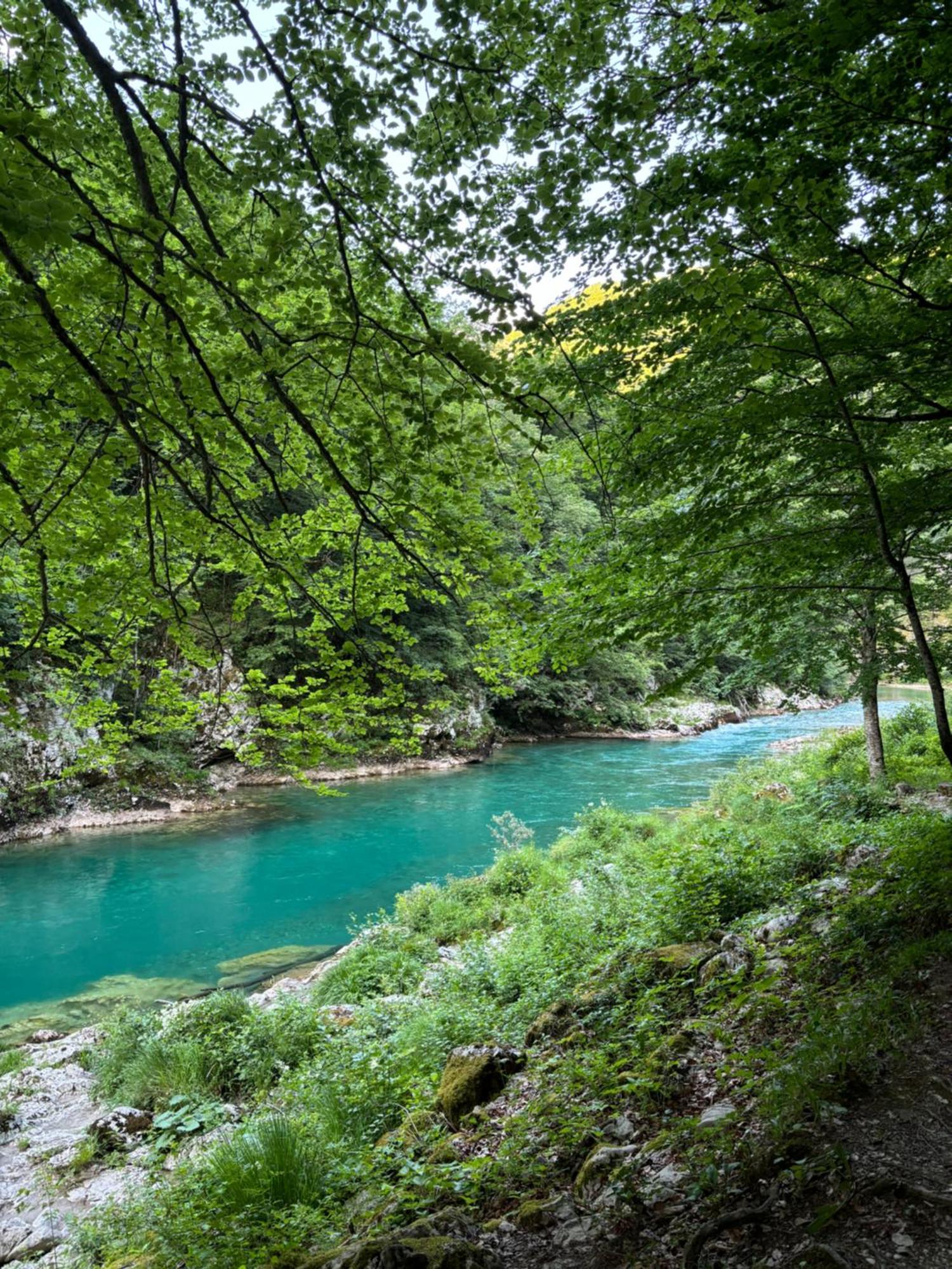 Holiday Home ,,Lazar" Žabljak Dış mekan fotoğraf