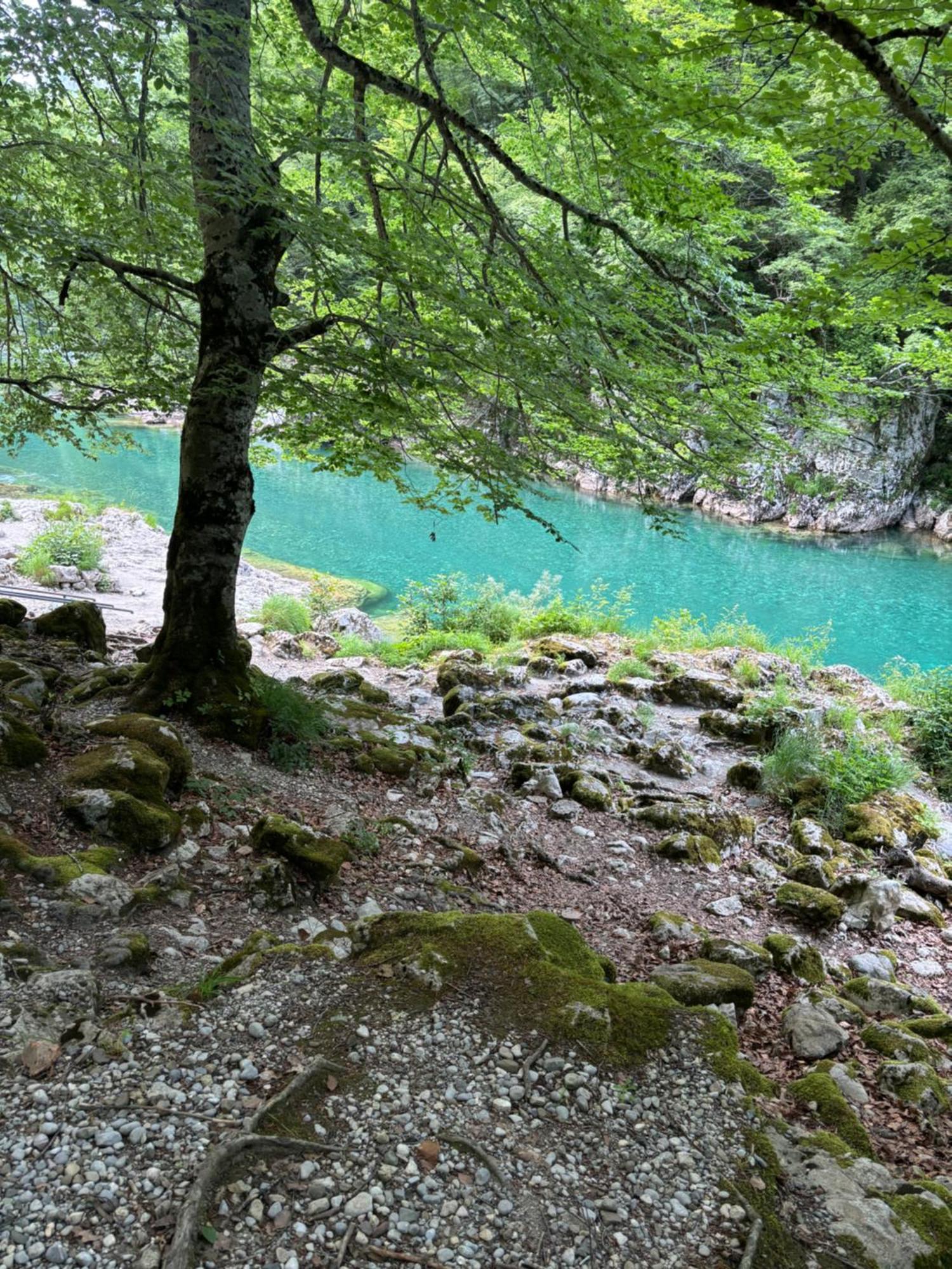 Holiday Home ,,Lazar" Žabljak Dış mekan fotoğraf