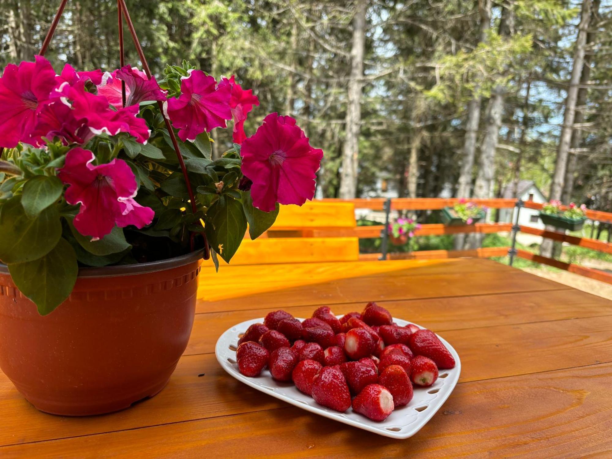 Holiday Home ,,Lazar" Žabljak Dış mekan fotoğraf