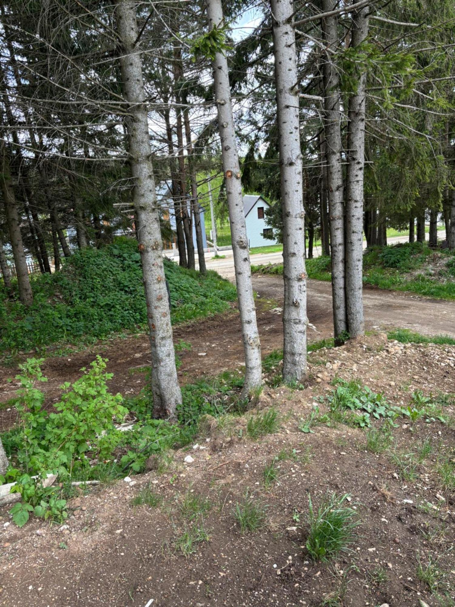 Holiday Home ,,Lazar" Žabljak Dış mekan fotoğraf